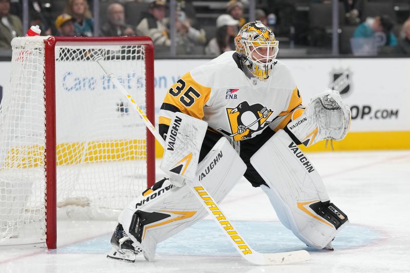 Nov 4, 2023; San Jose, California, USA; Pittsburgh Penguins goaltender Tristan Jarry (35) stands in net during the second period against the San Jose Sharks at SAP Center at San Jose. Mandatory Credit: Darren Yamashita-USA TODAY Sports