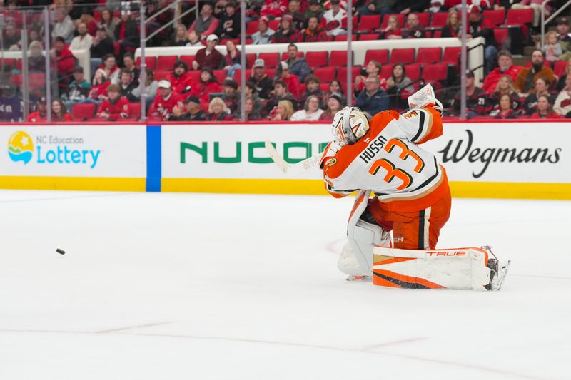 Jan 8, 2026; Raleigh, North Carolina, USA;  Anaheim Ducks goaltender Ville Husso (33) clears the puck against the Carolina Hurricanes during the third period at Lenovo Center. Mandatory Credit: James Guillory-Imagn Images