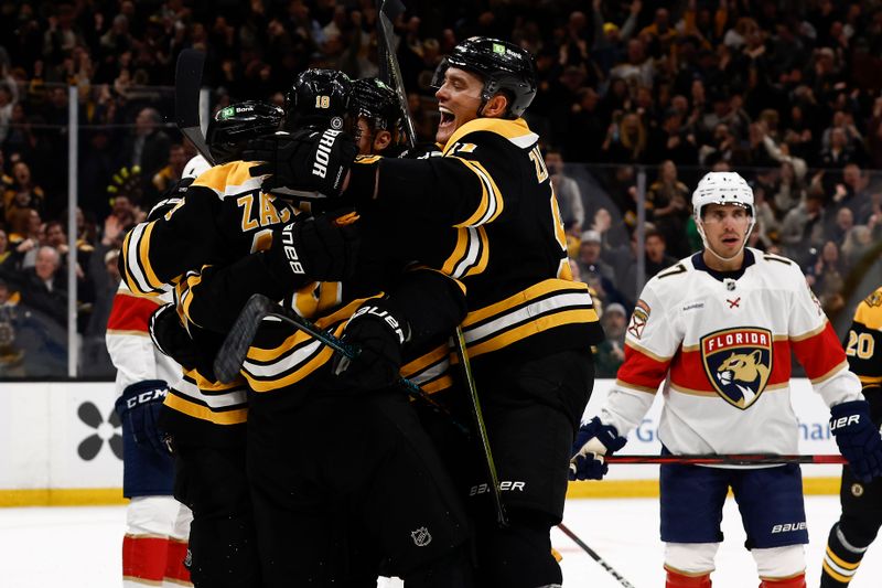 Mar 11, 2025; Boston, Massachusetts, USA; Boston Bruins defenseman Nikita Zadorov (91) joins the celebration after center Pavel Zacha (18) scored the go ahead goal as Florida Panthers center Evan Rodrigues (17) looks away during the third period at TD Garden. Mandatory Credit: Winslow Townson-Imagn Images