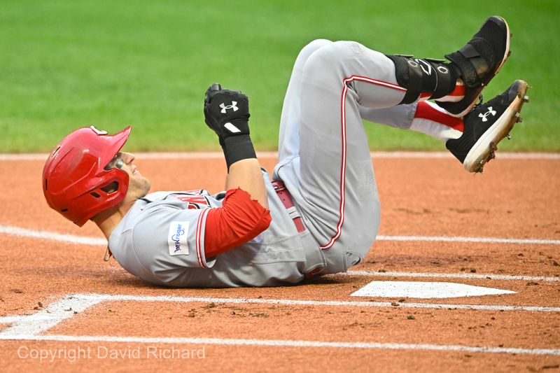 Sep 27, 2023; Cleveland, Ohio, USA; Cincinnati Reds center fielder TJ Friedl (29) falls to the ground after he was hit in the leg by a foul ball in the first inning against the Cleveland Guardians at Progressive Field. Mandatory Credit: David Richard-USA TODAY Sports