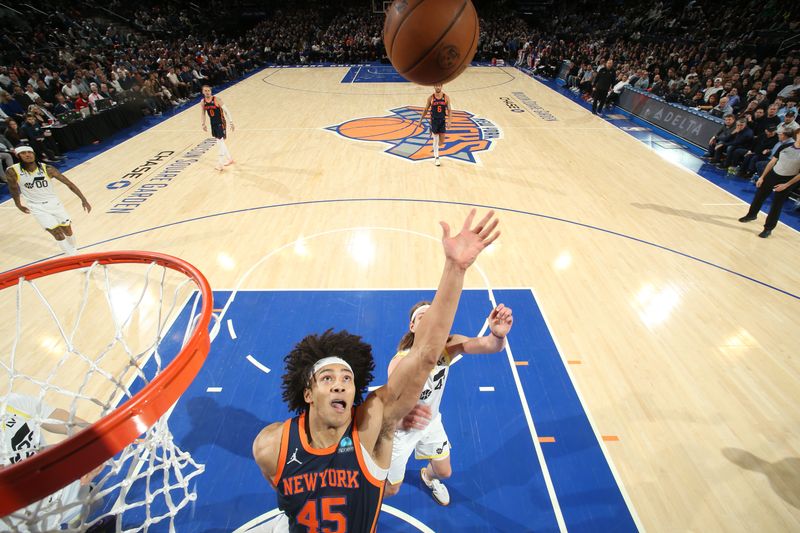 NEW YORK, NY - JANUARY 30: Jericho Sims #45 of the New York Knicks rebounds the ball during the game against the Utah Jazz on January 30, 2024 at Madison Square Garden in New York City, New York.  NOTE TO USER: User expressly acknowledges and agrees that, by downloading and or using this photograph, User is consenting to the terms and conditions of the Getty Images License Agreement. Mandatory Copyright Notice: Copyright 2024 NBAE  (Photo by Nathaniel S. Butler/NBAE via Getty Images)