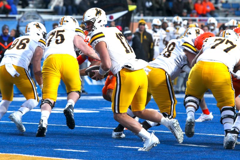 Oct 28, 2023; Boise, Idaho, USA; Wyoming Cowboys quarterback Evan Svoboda (17) during the second half against the Boise State Broncos at Albertsons Stadium. Mandatory Credit: Brian Losness-USA TODAY Sports