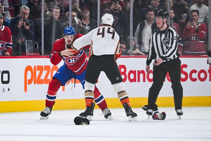 Feb 13, 2024; Montreal, Quebec, CAN; Montreal Canadiens defenseman Arber Xhekaj (72) fights with Anaheim Ducks left wing Ross Johnston (44) during the second period at Bell Centre. Mandatory Credit: David Kirouac-USA TODAY Sports