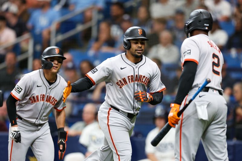 Apr 13, 2024; St. Petersburg, Florida, USA;  San Francisco Giants first baseman LaMonte Wade Jr. (31) celebrates after hitting a two-run home run against the Tampa Bay Rays in the fifth inning at Tropicana Field. Mandatory Credit: Nathan Ray Seebeck-USA TODAY Sports