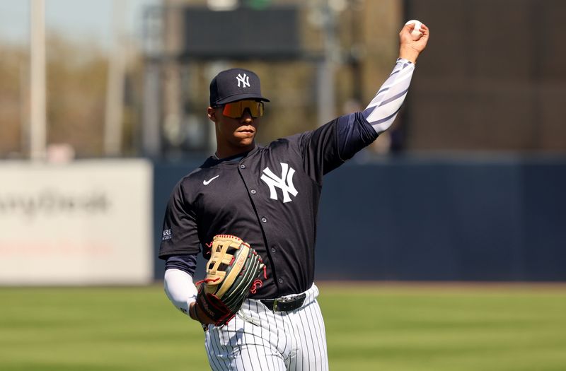 Feb 26, 2024; Tampa, Florida, USA;  New York Yankees left fielder Juan Soto (22) works out before the game against the Minnesota Twins at George M. Steinbrenner Field. Mandatory Credit: Kim Klement Neitzel-USA TODAY Sports