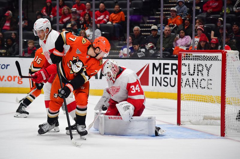 Nov 15, 2024; Anaheim, California, USA; Detroit Red Wings goaltender Alex Lyon (34) stops a shot against Anaheim Ducks right wing Frank Vatrano (77) during the second period at Honda Center. Mandatory Credit: Gary A. Vasquez-Imagn Images