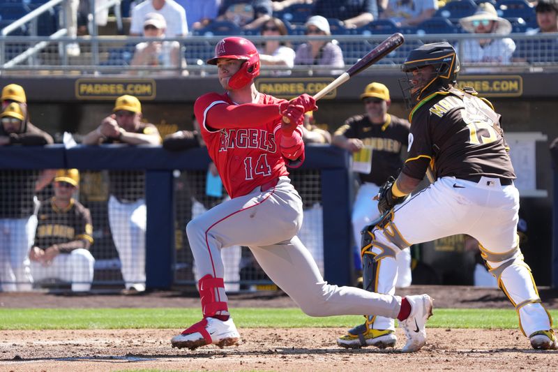 Feb 25, 2025; Peoria, Arizona, USA; Los Angeles Angels shortstop Scott Kingery (13) bats against the San Diego Padres during the third inning at Peoria Sports Complex. Mandatory Credit: Rick Scuteri-Imagn Images