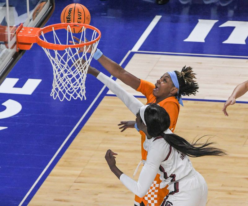 Mar 5, 2023; Greenville, SC, USA; South Carolina forward Laeticia Amihere (15) blocks the shot of Tennessee guard Jordan Horston (25) during the second quarter of the SEC Women's Basketball Tournament at Bon Secours Wellness Arena. Mandatory Credit: Ken Ruinard-USA TODAY Sports