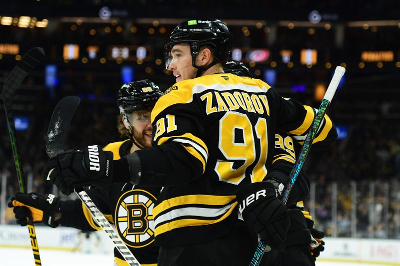 Apr 5, 2025; Boston, Massachusetts, USA; Boston Bruins defenseman Nikita Zadorov (91) celebrates a goal scored by center Morgan Geekie (39) during the first period against the Carolina Hurricanes at TD Garden. Mandatory Credit: Bob DeChiara-Imagn Images