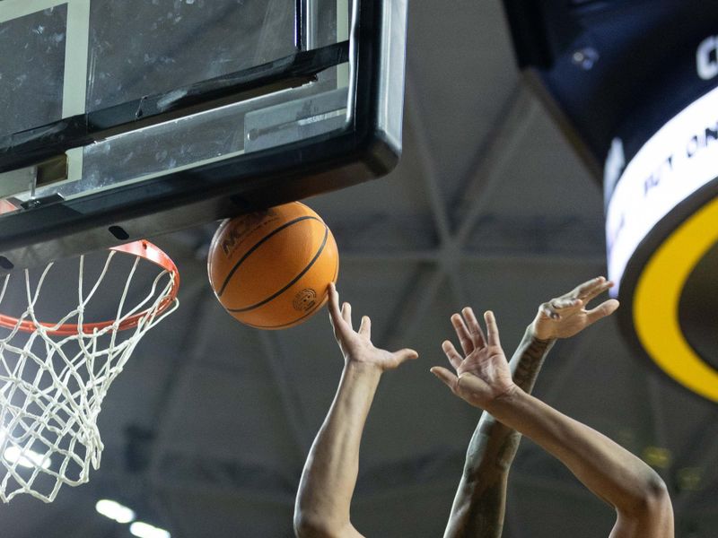 Jan 14, 2024; Wichita, Kansas, USA; Wichita State Shockers forward Kenny Pohto (11) loses control of the ball under the basket during the first half against the Wichita State Shockers  at Charles Koch Arena. Mandatory Credit: William Purnell-USA TODAY Sports