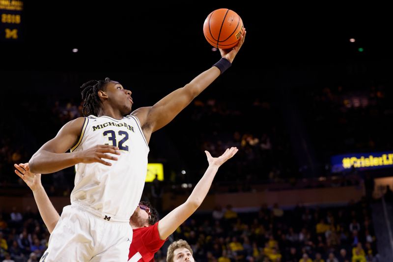 Feb 8, 2023; Ann Arbor, Michigan, USA;  Michigan Wolverines forward Tarris Reed Jr. (32) grabs the rebound in the second half against the Nebraska Cornhuskers at Crisler Center. Mandatory Credit: Rick Osentoski-USA TODAY Sports