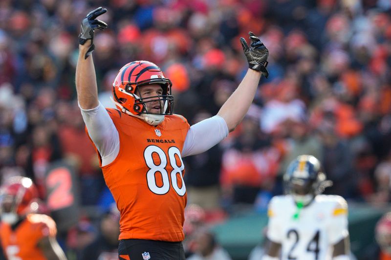 Cincinnati Bengals tight end Mike Gesicki reacts after a catch during the first half of an NFL football game against the Pittsburgh Steelers, Sunday, Dec. 1, 2024, in Cincinnati. (AP Photo/Jeff Dean)