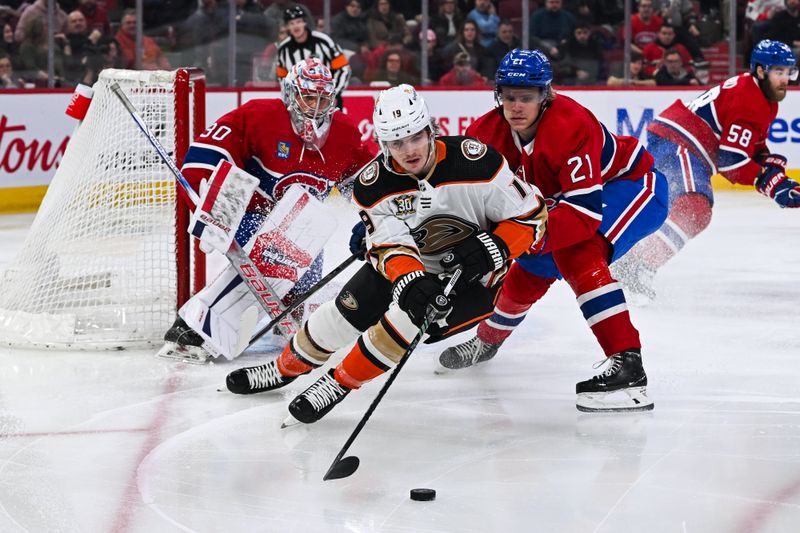 Feb 13, 2024; Montreal, Quebec, CAN; Anaheim Ducks right wing Troy Terry (19) plays the puck against Montreal Canadiens defenseman Kaiden Guhle (21) during the first period at Bell Centre. Mandatory Credit: David Kirouac-USA TODAY Sports