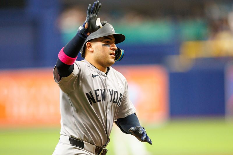 May 12, 2024; St. Petersburg, Florida, USA;  New York Yankees catcher Jose Trevino (39) runs the bases after hitting a two run home run against the Tampa Bay Rays in the fourth inning at Tropicana Field. Mandatory Credit: Nathan Ray Seebeck-USA TODAY Sports