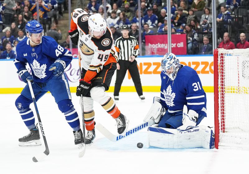 Feb 17, 2024; Toronto, Ontario, CAN; Anaheim Ducks left wing Max Jones (49) battles for the puck with Toronto Maple Leafs defenseman Maxime Lajoie (48) in front of goaltender Martin Jones (31) during the second period at Scotiabank Arena. Mandatory Credit: Nick Turchiaro-USA TODAY Sports