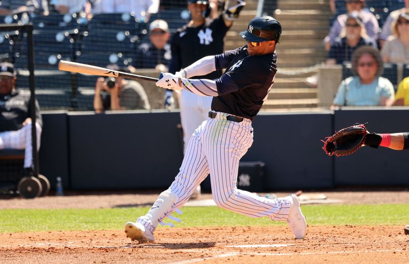 Feb 26, 2024; Tampa, Florida, USA; New York Yankees left fielder Juan Soto (22) hits a 2-RBI double  during the third inning against the Minnesota Twins at George M. Steinbrenner Field. Mandatory Credit: Kim Klement Neitzel-USA TODAY Sports