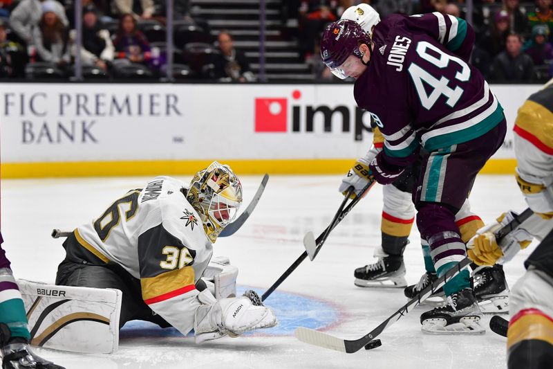 Dec 27, 2023; Anaheim, California, USA; Vegas Golden Knights goaltender Logan Thompson (36) defends the goal against Anaheim Ducks left wing Max Jones (49) during the third period at Honda Center. Mandatory Credit: Gary A. Vasquez-USA TODAY Sports