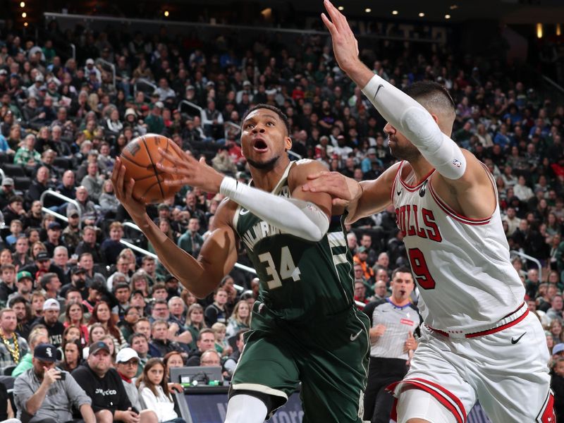 MILWAUKEE, WI - NOVEMBER 20: Giannis Antetokounmpo #34 of the Milwaukee Bucks drives to the basket during the game against the Chicago Bulls on November 20, 2024 at the Fiserv Forum Center in Milwaukee, Wisconsin. NOTE TO USER: User expressly acknowledges and agrees that, by downloading and or using this Photograph, user is consenting to the terms and conditions of the Getty Images License Agreement. Mandatory Copyright Notice: Copyright 2024 NBAE (Photo by Gary Dineen/NBAE via Getty Images).