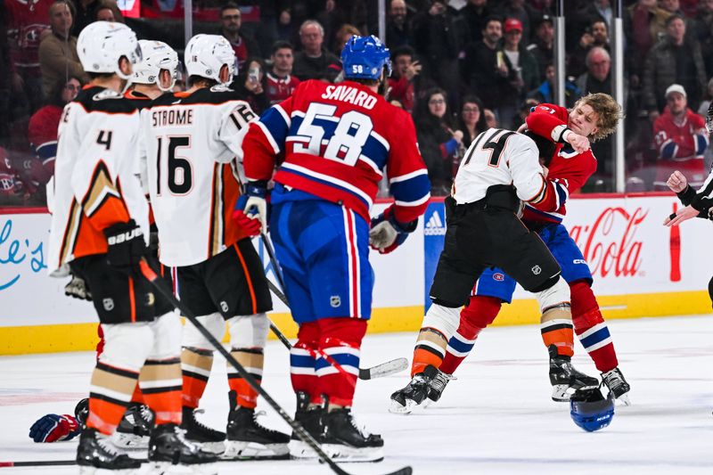 Feb 13, 2024; Montreal, Quebec, CAN; Montreal Canadiens defenseman Kaiden Guhle (21) fights with Anaheim Ducks center Adam Henrique (14) during the third period at Bell Centre. Mandatory Credit: David Kirouac-USA TODAY Sports