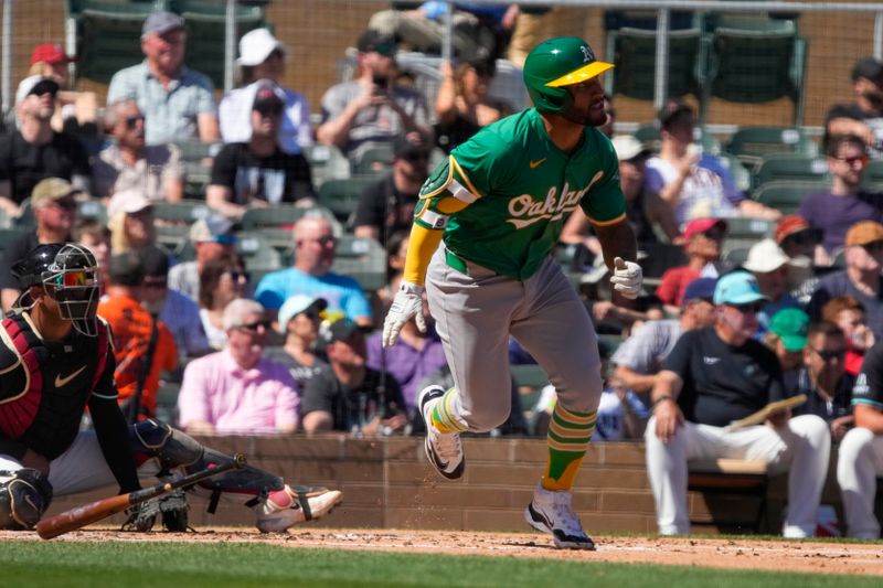 Mar 11, 2024; Salt River Pima-Maricopa, Arizona, USA; Oakland Athletics third baseman Abraham Toro (31) watches his hit against the Arizona Diamondbacks in the second inning at Salt River Fields at Talking Stick. Mandatory Credit: Rick Scuteri-USA TODAY Sports