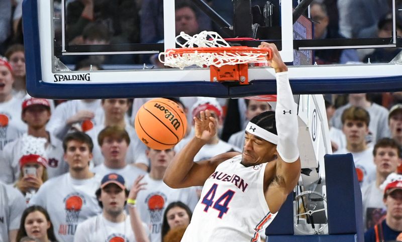 Feb 11, 2023; Auburn, Alabama, USA;  Auburn Tigers center Dylan Cardwell (44) dunks the ball against the Alabama Crimson Tide at Neville Arena. Mandatory Credit: Julie Bennett-USA TODAY Sports

