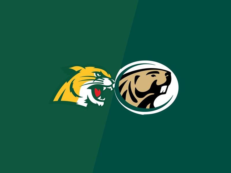 Northern Michigan Wildcats VS Bemidji State Beavers