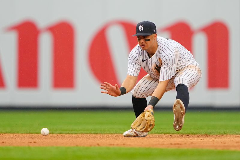 Jul 8, 2023; Bronx, New York, USA; New York Yankees shortstop Anthony Volpe (11) fields a ground ball hit by Chicago Cubs first baseman Trey Mancini (not pictured) during the eighth inning at Yankee Stadium. Mandatory Credit: Gregory Fisher-USA TODAY Sports