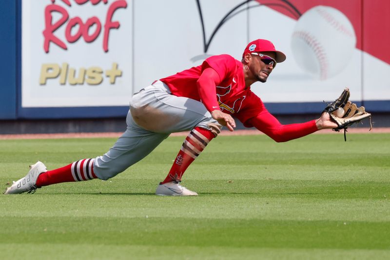 Mar 26, 2023; West Palm Beach, Florida, USA; St. Louis Cardinals left fielder Oscar Mercado makes a diving catch during the fifth inning against the Houston Astros at The Ballpark of the Palm Beaches. Mandatory Credit: Reinhold Matay-USA TODAY Sports