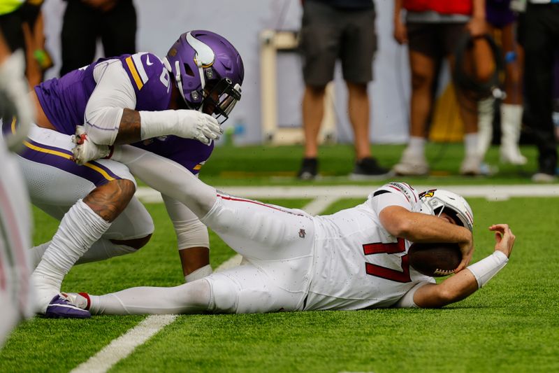 Arizona Cardinals quarterback David Blough (17) is sacked by Minnesota Vikings defensive tackle Ross Blacklock during the first half of an NFL preseason football game, Saturday, Aug. 26, 2023, in Minneapolis. (AP Photo/Bruce Kluckhohn)