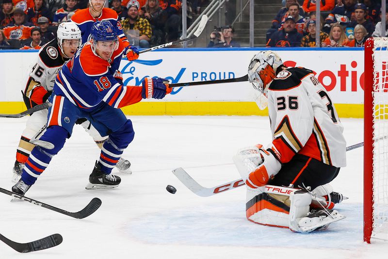 Nov 26, 2023; Edmonton, Alberta, CAN; Anaheim Ducks goaltender John Gibson (36) makes a save on Edmonton Oilers forward Zach Hyman (18) during the third period at Rogers Place. Mandatory Credit: Perry Nelson-USA TODAY Sports