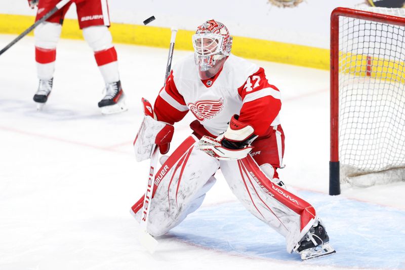 Dec 20, 2023; Winnipeg, Manitoba, CAN; Detroit Red Wings goaltender James Reimer (47) warms up before a game against the Winnipeg Jets at Canada Life Centre. Mandatory Credit: James Carey Lauder-USA TODAY Sports