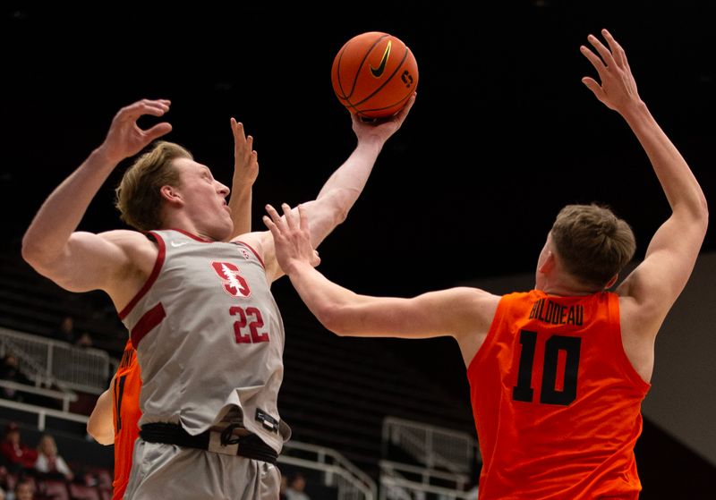 Jan 19, 2023; Stanford, California, USA; Stanford Cardinal forward James Keefe (22) pulls down a rebound in front of Oregon State Beavers forward Tyler Bilodeau (10) during the first half at Maples Pavilion. Mandatory Credit: D. Ross Cameron-USA TODAY Sports