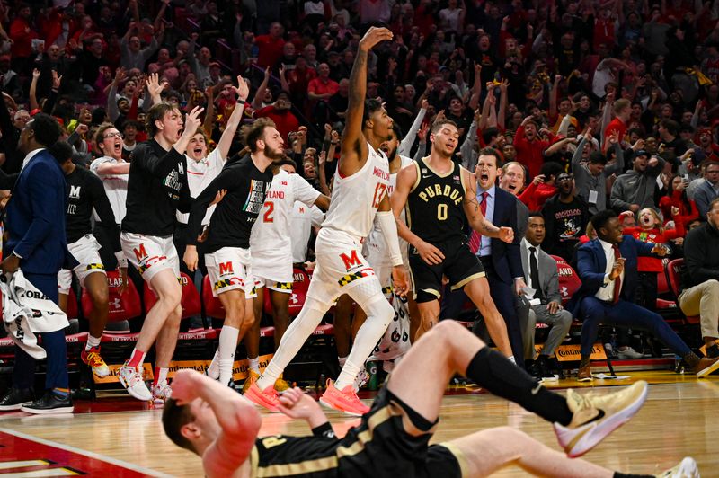 Feb 16, 2023; College Park, Maryland, USA; Maryland Terrapins guard Hakim Hart (13) reacts after making a three point shot against the Purdue Boilermakers during the second half at Xfinity Center. Maryland Terrapins defeated Purdue Boilermakers 68-54. Mandatory Credit: Tommy Gilligan-USA TODAY Sports