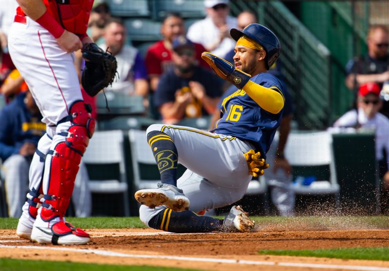 Feb 27, 2024; Tempe, Arizona, USA; Milwaukee Brewers base runner Blake Perkins slides into home to score against the Los Angeles Angels during a spring training game at Tempe Diablo Stadium. Mandatory Credit: Mark J. Rebilas-USA TODAY Sports