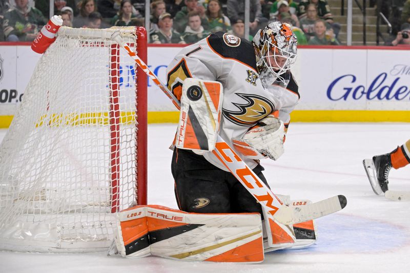 Mar 14, 2024; Saint Paul, Minnesota, USA; Anaheim Ducks goalie Lukas Dostal (1) makes a save against the Minnesota Wild during the second period at Xcel Energy Center. Mandatory Credit: Nick Wosika-USA TODAY Sports