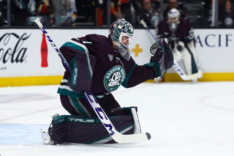 Mar 19, 2024; Anaheim, California, USA; Anaheim Ducks goaltender Lukas Dostal (1) warms up before a game against the Minnesota Wild at Honda Center. Mandatory Credit: Jessica Alcheh-USA TODAY Sports