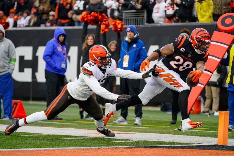 Cleveland Browns linebacker Tony Fields II (42) pushes out Cincinnati Bengals running back Joe Mixon (28) out of bounds short of a touchdown during the first half of an NFL football game in Cincinnati, Sunday, Jan. 7, 2024. (AP Photo/Sue Ogrocki)