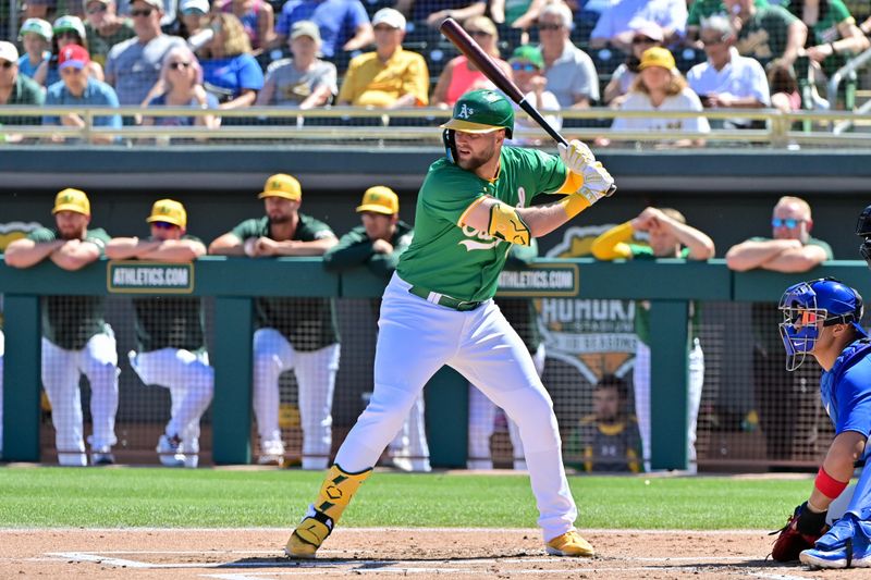 Mar 20, 2024; Mesa, Arizona, USA;  Oakland Athletics left fielder Seth Brown (15) at bat in the first inning against the Chicago Cubs during a spring training game at Hohokam Stadium. Mandatory Credit: Matt Kartozian-USA TODAY Sports