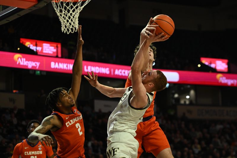 Jan 17, 2023; Winston-Salem, North Carolina, USA; Wake Forest Demon Deacons guard Cameron Hildreth (2) gets his shot blocked by Clemson Tigers center PJ Hall (24) during the first half at Lawrence Joel Veterans Memorial Coliseum. Mandatory Credit: William Howard-USA TODAY Sports