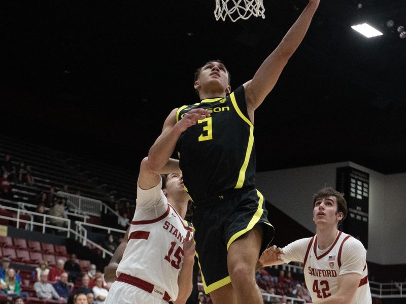 Feb 22, 2024; Stanford, California, USA; Oregon Ducks guard Jackson Shelstad (3) drives to the basket ahead of Stanford Cardinal guard Benny Gealer (15) during the second half at Maples Pavilion. Mandatory Credit: D. Ross Cameron-USA TODAY Sports