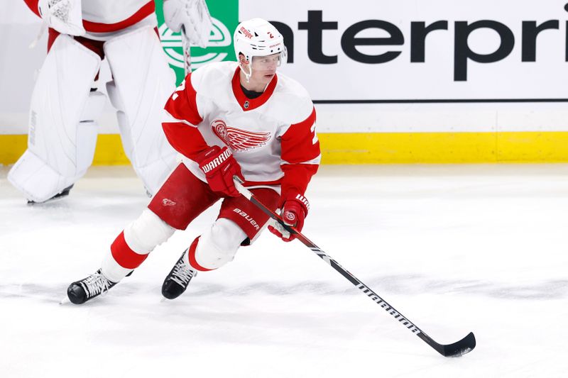 Dec 20, 2023; Winnipeg, Manitoba, CAN; Detroit Red Wings defenseman Olli Maatta (2) warms up before a game against the Winnipeg Jets at Canada Life Centre. Mandatory Credit: James Carey Lauder-USA TODAY Sports