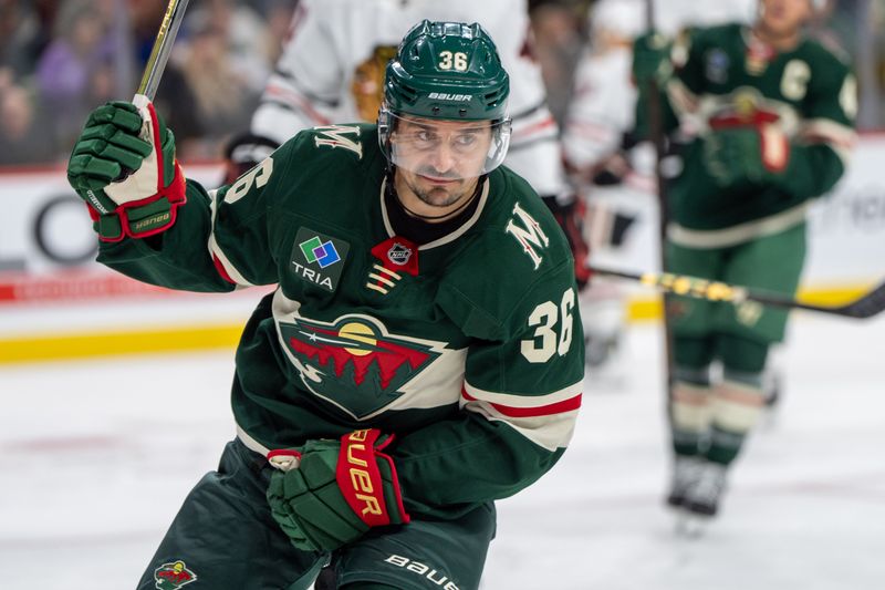 Oct 1, 2024; Saint Paul, Minnesota, USA; Minnesota Wild right wing Mats Zuccarello (36) celebrates after a teammate scores against the Chicago Blackhawks in the second period at Xcel Energy Center. Mandatory Credit: Matt Blewett-Imagn Images