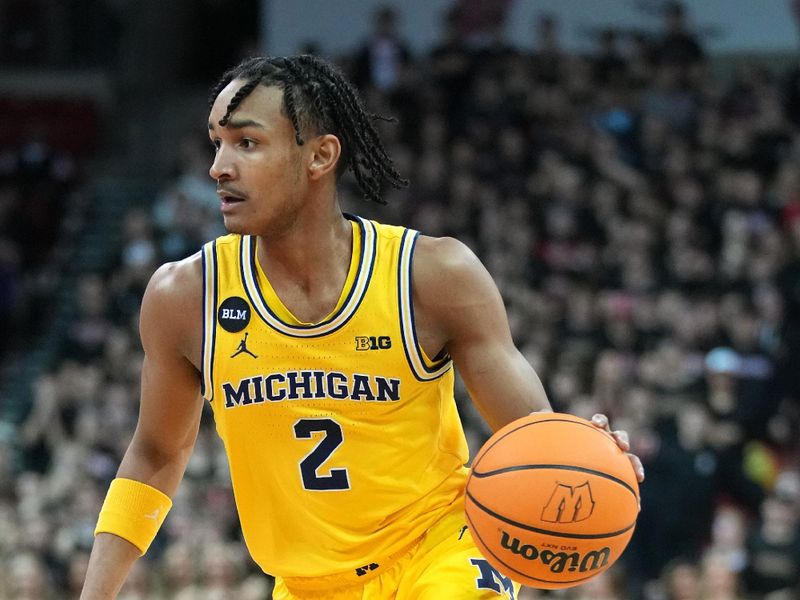 Feb 14, 2023; Madison, Wisconsin, USA;  Michigan Wolverines guard Kobe Bufkin (2) dribbles the ball during the first half against the Wisconsin Badgers at the Kohl Center. Mandatory Credit: Kayla Wolf-USA TODAY Sports