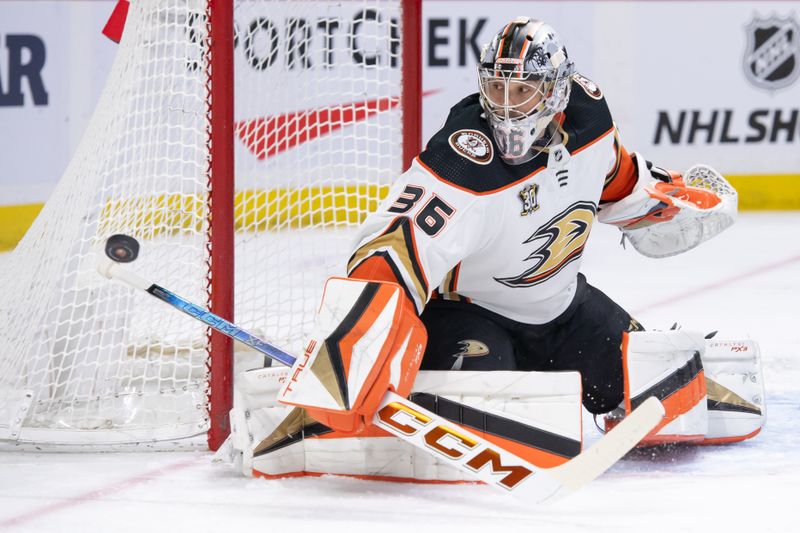 Feb 15, 2024; Ottawa, Ontario, CAN; Anaheim Ducks goalie John Gibson (36) makes a save in the first period against the Ottawa Senators at the Canadian Tire Centre. Mandatory Credit: Marc DesRosiers-USA TODAY Sports