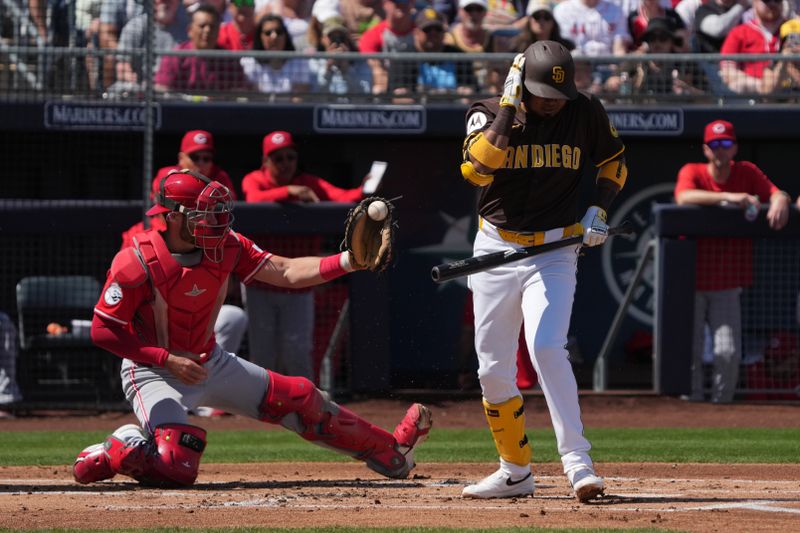 Mar 22, 2025; Peoria, Arizona, USA; San Diego Padres first base Luis Arraez (4) avoids a bad pitch against the Cincinnati Reds in the first inning at Peoria Sports Complex. Mandatory Credit: Rick Scuteri-Imagn Images
