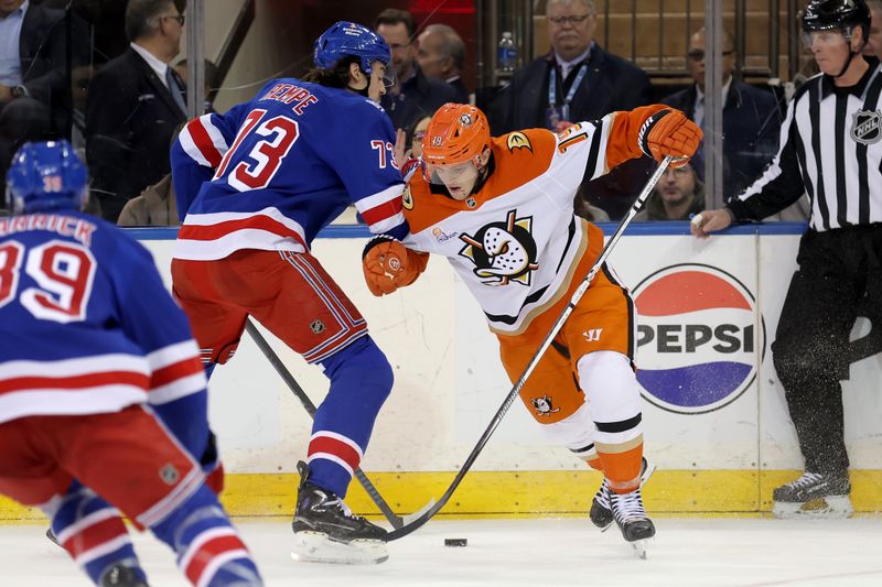 Dec 15, 2025; New York, New York, USA; New York Rangers center Matt Rempe (73) hits Anaheim Ducks right wing Troy Terry (19) during the second period at Madison Square Garden. Mandatory Credit: Brad Penner-Imagn Images
