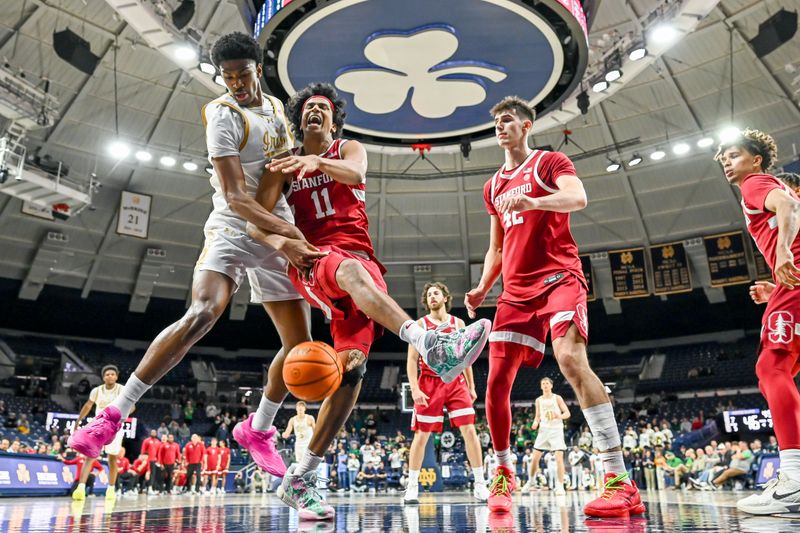 Mar 5, 2025; South Bend, Indiana, USA; Notre Dame Fighting Irish forward Kebba Njie (14) and Stanford Cardinal guard Ryan Agarwal (11) reach for a rebound in the second half at the Purcell Pavilion. Mandatory Credit: Matt Cashore-Imagn Images