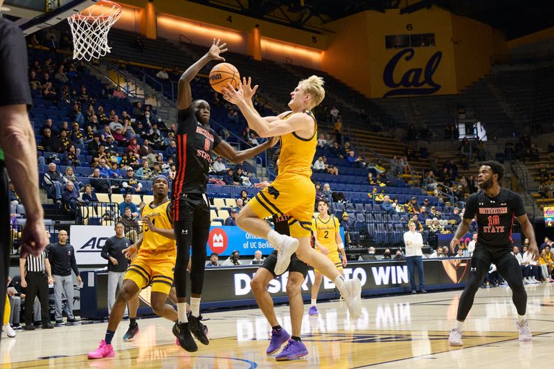 Dec 14, 2024; Berkeley, California, USA; California Golden Bears forward Rytis Petraitis (31) shoots the ball against Northwestern State Demons forward Lado Laku (0) during the first half at Haas Pavilion. Mandatory Credit: Robert Edwards-Imagn Images