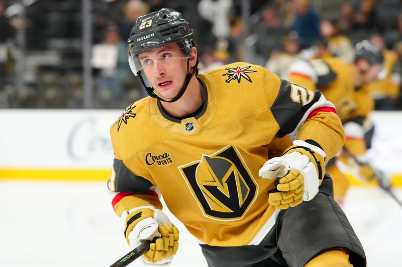 Dec 2, 2025; Las Vegas, Nevada, USA; Vegas Golden Knights left wing Cole Reinhardt (23) warms up before a game against the Chicago Blackhawks at T-Mobile Arena. Mandatory Credit: Stephen R. Sylvanie-Imagn Images