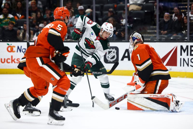 Minnesota Wild Overpowers Anaheim Ducks with Strategic Powerplay and Stellar Defense